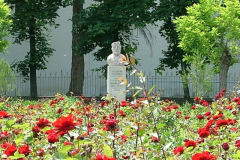 garibaldi